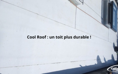 Entreprise de pose de couverture et étanchéité 11 Cool roof (étanchéité et peinture blanche sur toiture) : le guide complet pour une toiture plus verte et plus économique.