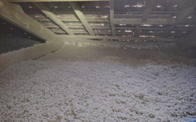 Entreprise de pose de couverture et étanchéité 9 Ouate de cellulose, laine de verre ou laine de roche soufflée : quel isolant choisir pour vos combles à AGEN ?